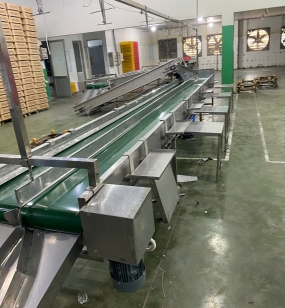 HỆ THỐNG BĂNG TẢI GA